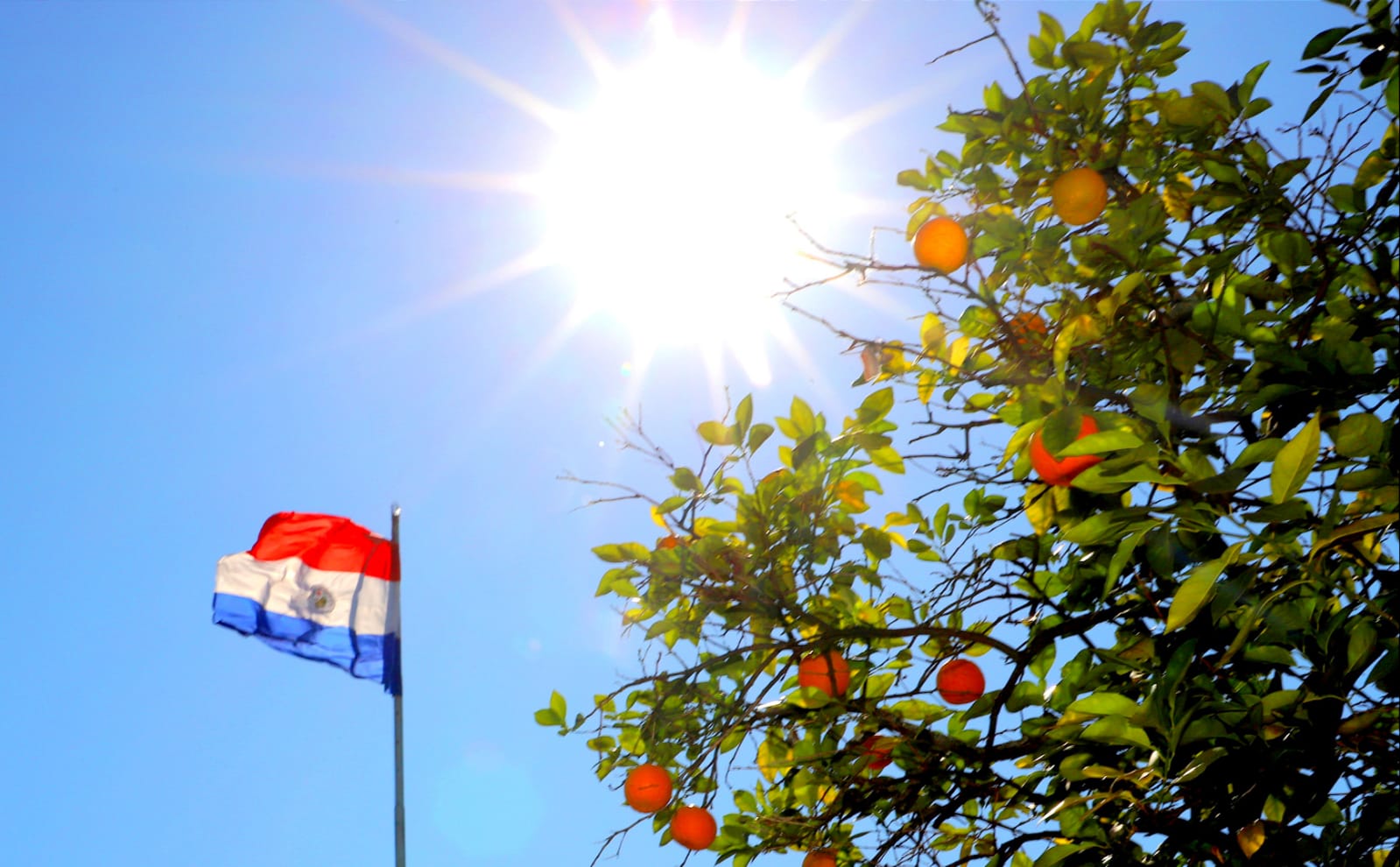 Sábado muy caluroso con máximas que superan los 40°C y  probabilidad de lluvias en algunas zonas