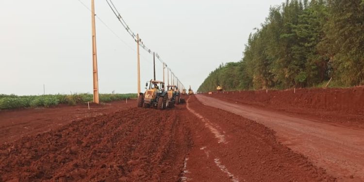 Ruta a Puerto Indio: prosiguen las tareas iniciales en el Lote 1