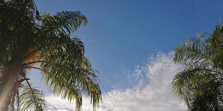 Miércoles caluroso y con lluvias dispersas
