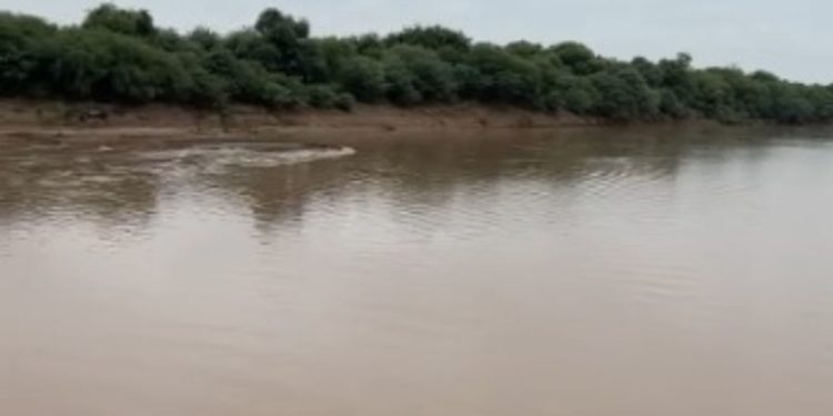 Río Pilcomayo: Repuntes significativos en Pozo Hondo y áreas circundantes Río Pilcomayo: Repuntes significativos en Pozo Hondo y áreas circundantes