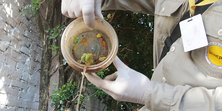 Significativo aumento de casos de dengue en Paraguay: Urgente llamado a la prevención