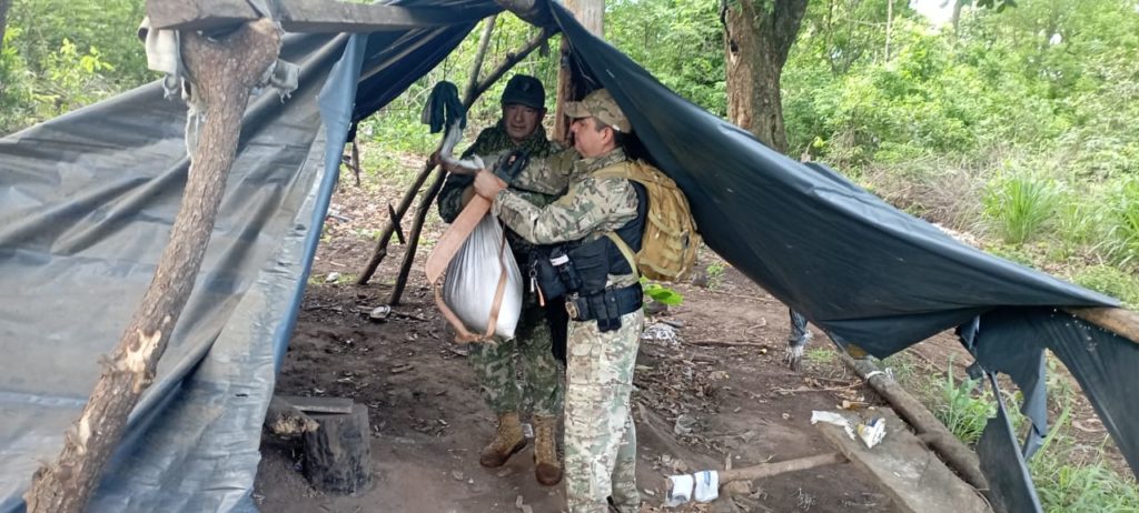 Desarticulación de esquemas de producción y acopio de marihuana en Bella Vista Norte