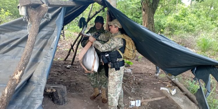 Desarticulación de esquemas de producción y acopio de marihuana en Bella Vista Norte