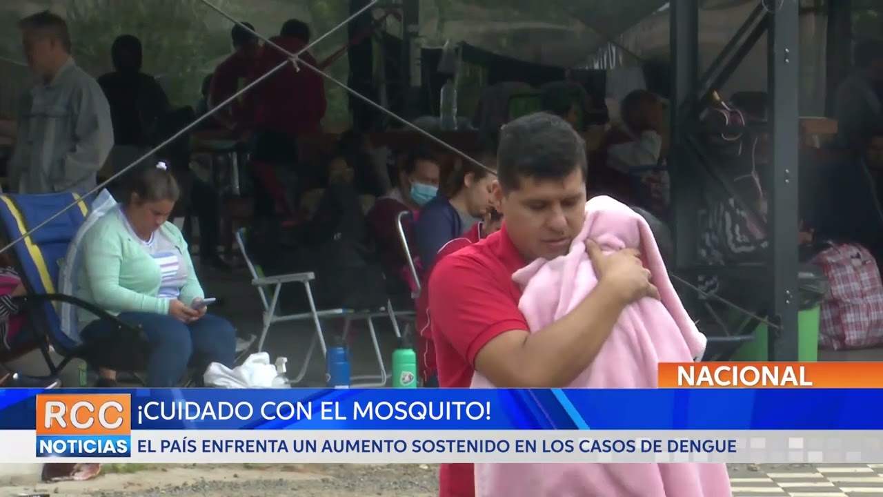 ¡Cuidado con el mosquito! El país enfrenta un aumento sostenido en los casos de dengue