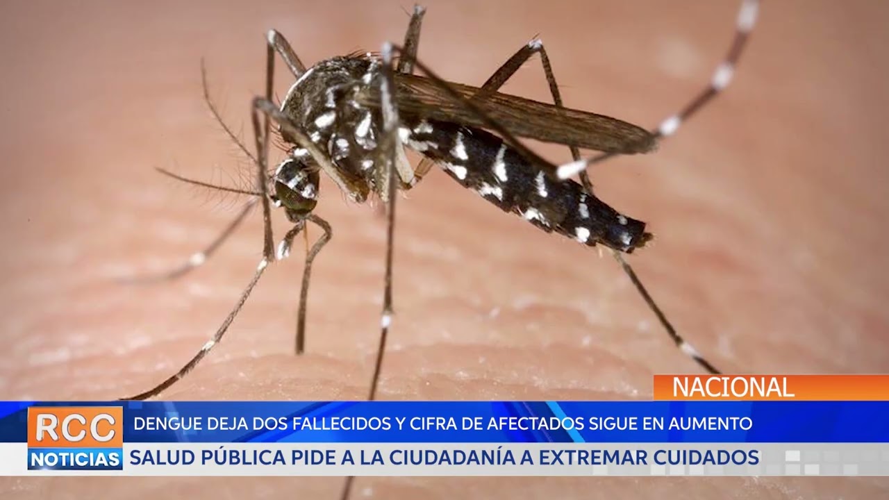 Dengue deja dos fallecidos y la cifra de afectados siguen en aumento