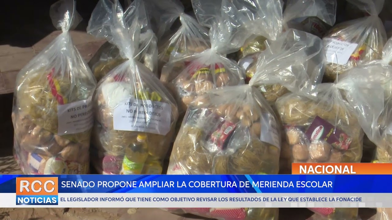 El Senado propone ampliar la cobertura de merienda escolar durante todo el año lectivo