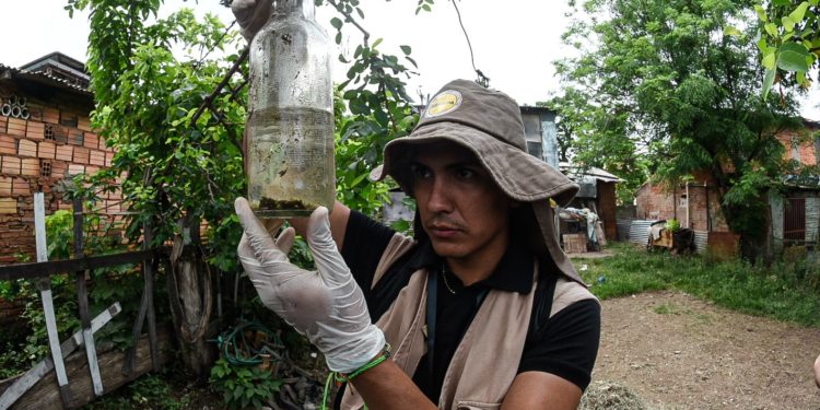 Luque encabeza la lista de criaderos de mosquitos en central