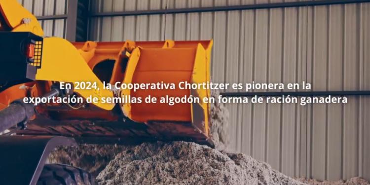 Cooperativa Chortitzer: pionera en la exportación de semillas de algodón en forma de ración ganadera