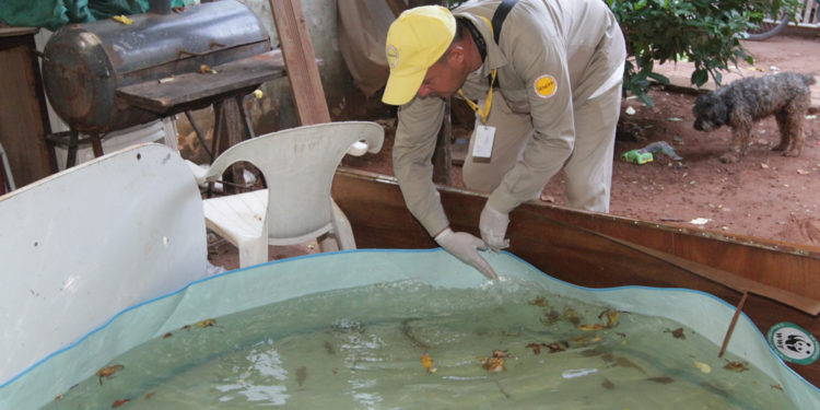 Aumento significativo de casos de dengue en Paraguay Aumento significativo de casos de dengue en Paraguay