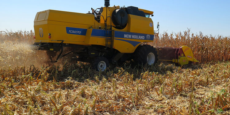 Cooperativa Chortitzer impulsa la innovación y sostenibilidad en la producción agropecuaria