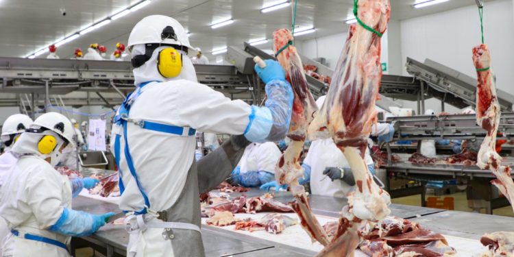 Carne paraguaya desembarca triunfalmente en Estados Unidos Carne paraguaya desembarca triunfalmente en Estados Unidos