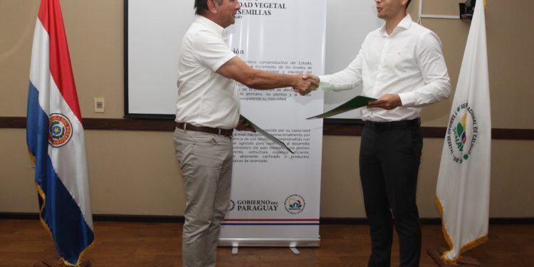 Desafíos fronterizos: SENAVE y MAPA Brasil trabajan en mejoras para inspecciones fitossanitarias Desafíos fronterizos: SENAVE y MAPA Brasil trabajan en mejoras para inspecciones fitossanitarias