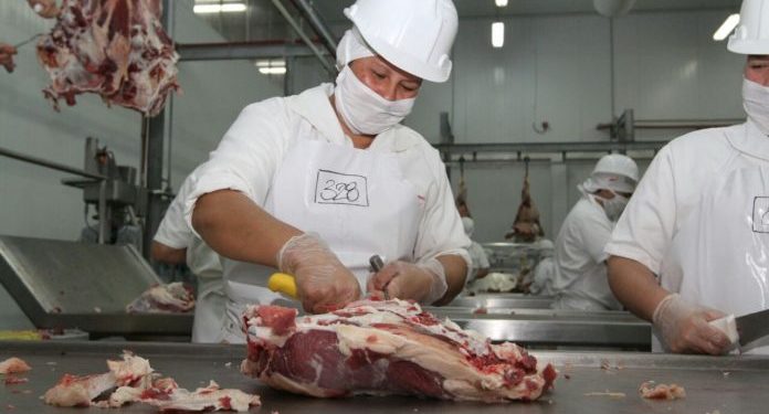 Israel habilita la importación de carne bovina paraguaya con hueso Israel habilita la importación de carne bovina paraguaya con hueso