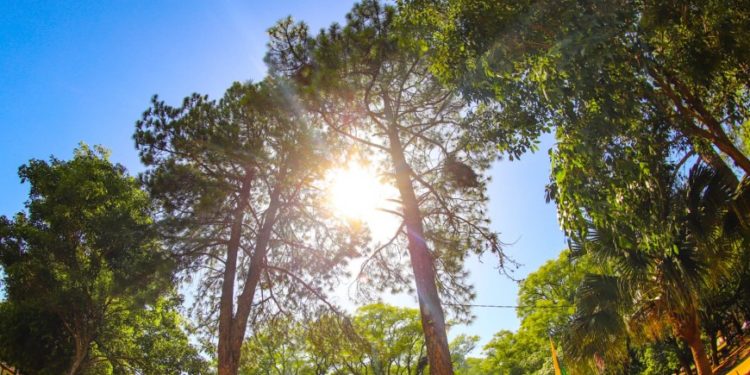 Martes cálido a caluroso con vientos del sureste￼