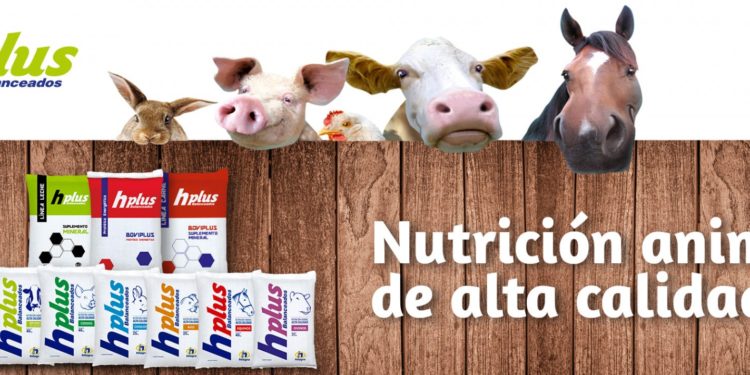 Si de salud animal se trata, el mejor aliado es Hplus Balanceados        