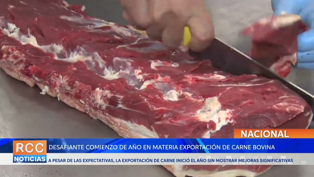 Desafiante comienzo de año en materia exportación de carne bovina