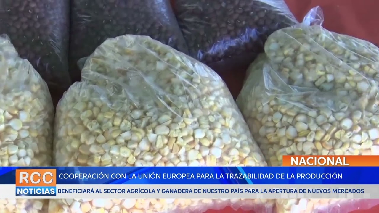 Paraguay se beneficiará de la cooperación con la UE para la apertura nuevos mercados de exportación