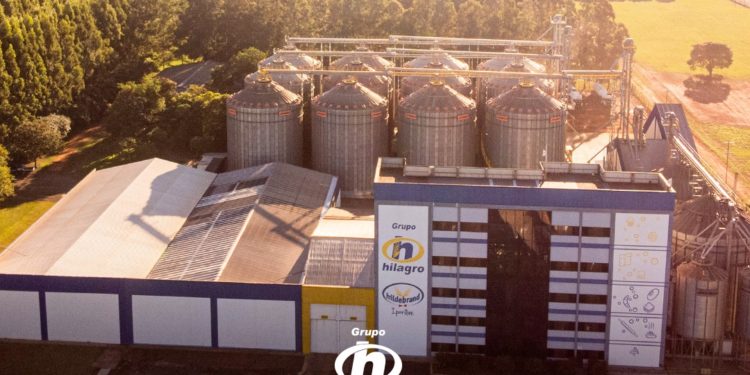 Hilagro: Transformando granos en calidad y sabor, un legado de innovación en cada producto Hilagro: Transformando granos en calidad y sabor, un legado de innovación en cada producto