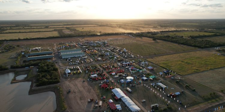 Expo Pioneros del Chaco 2024 se expande con actividades innovadoras Expo Pioneros del Chaco 2024 se expande con actividades innovadoras