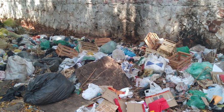 Preocupación por el aumento de basura en diversas áreas de la ciudad de Lambaré Preocupación por el aumento de basura en diversas áreas de la ciudad de Lambaré