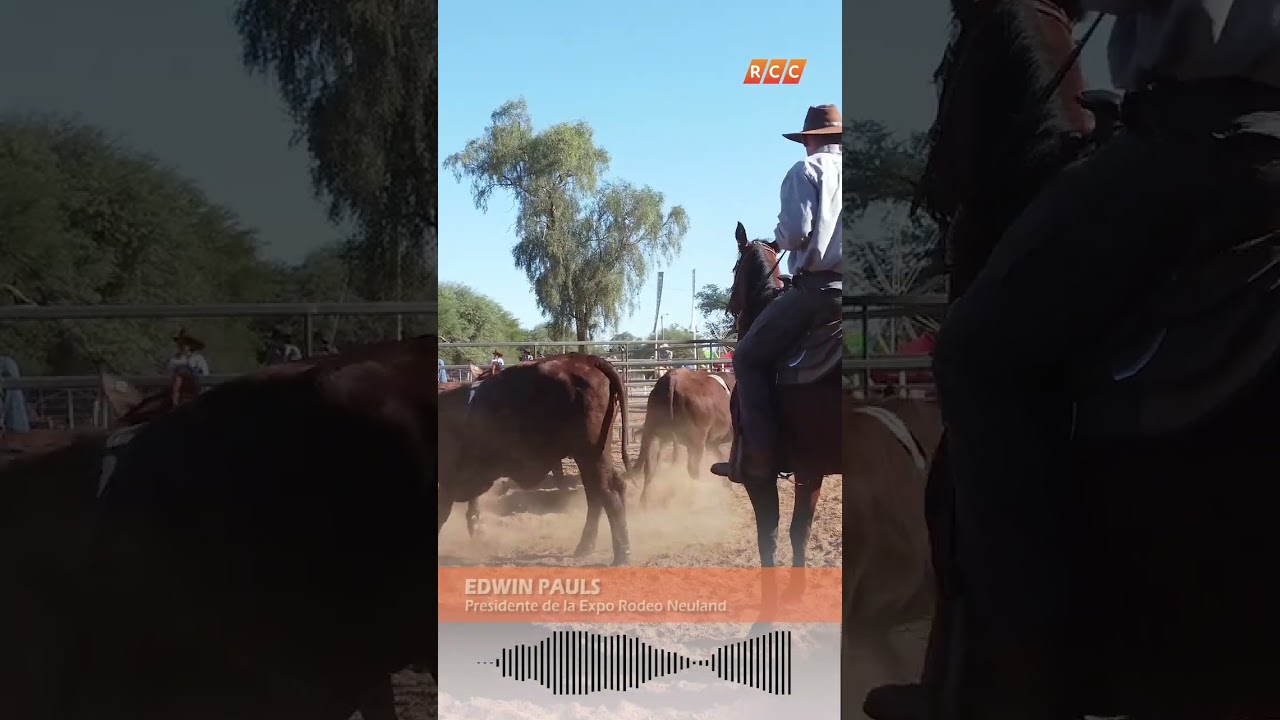 Expo Rodeo Neuland 2024: Un evento para toda familia