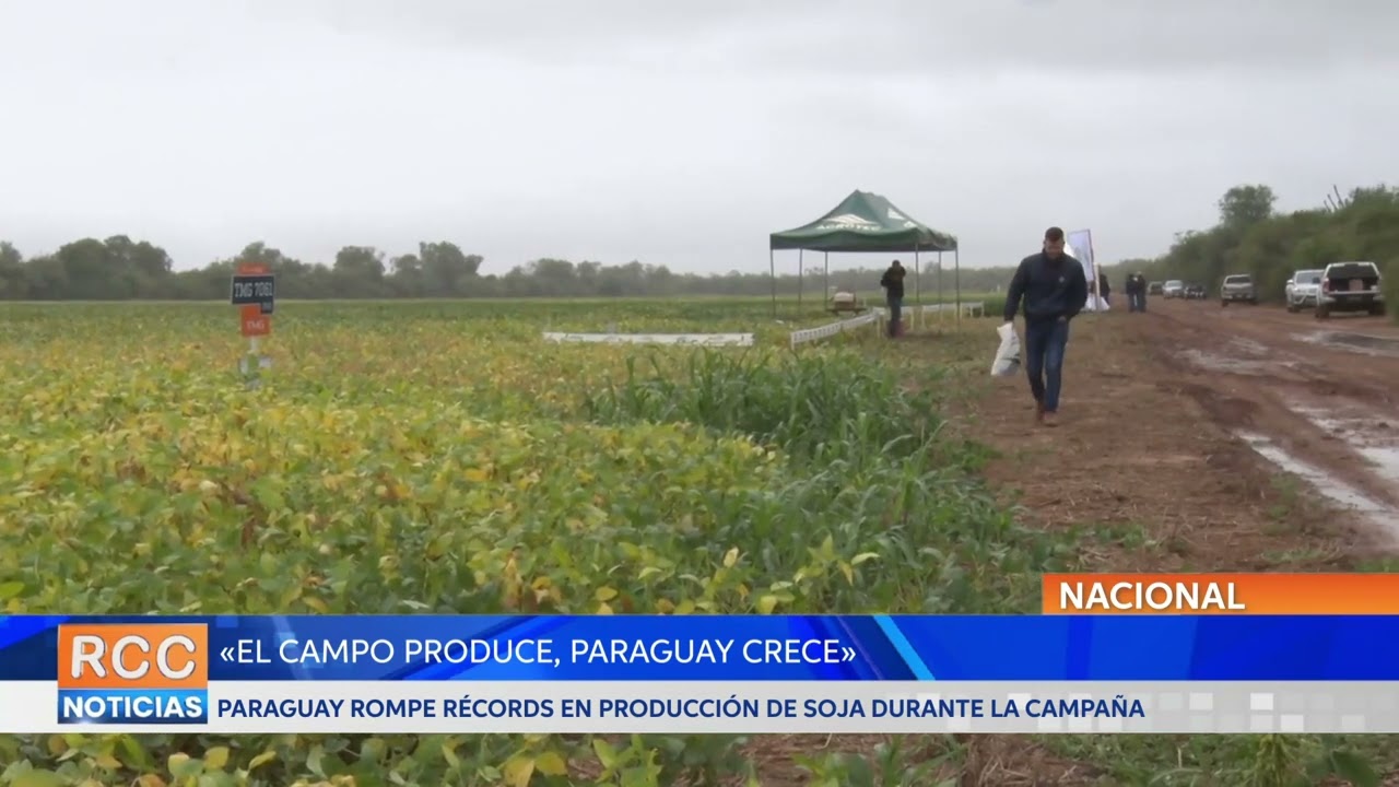 Paraguay rompe récords en producción de soja durante la campaña «El Campo Produce, Paraguay Crece»