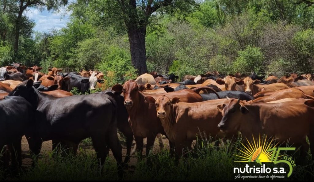 Nutrisilo S.A presente en la Feria Agropecuaria Innovar 2024