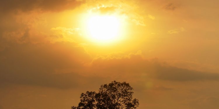 Jueves con temperaturas elevadas y vientos moderados del norte Jueves con temperaturas elevadas y vientos moderados del norte