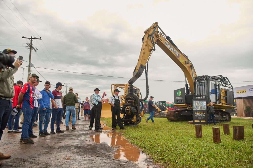 Análisis macroeconómico y perspectivas forestales en Innovar 2024