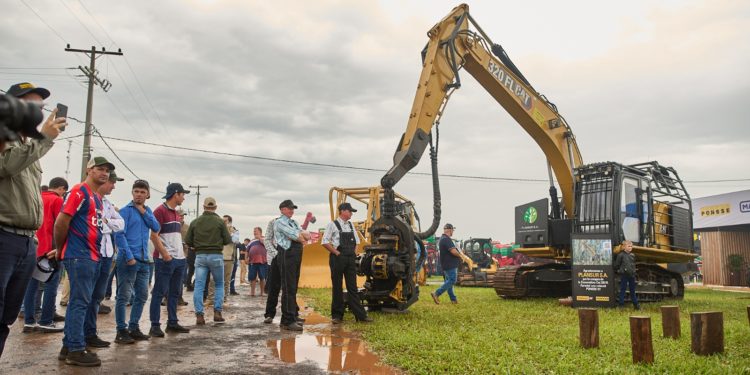 Análisis macroeconómico y perspectivas forestales en Innovar 2024