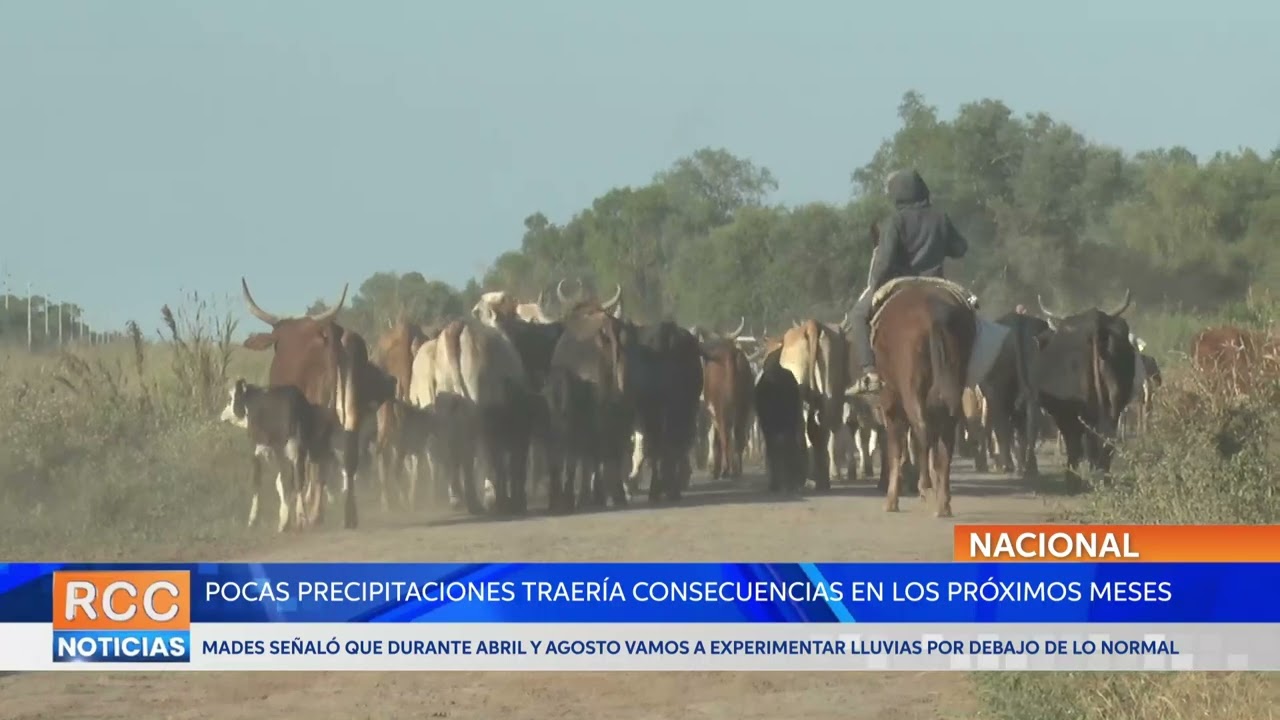 Mades alerta sobre las consecuencias que provocará la sequía en los próximos meses