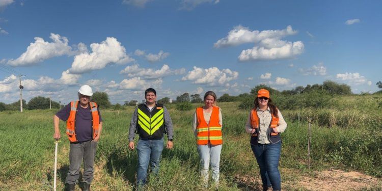 Constatan positiva evolución de unos 1.315 árboles plantados en torno a obras de la Transchaco Constatan positiva evolución de unos 1.315 árboles plantados en torno a obras de la Transchaco