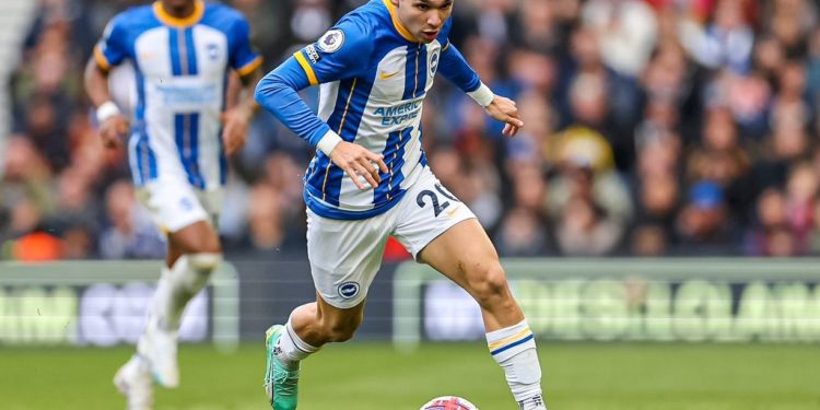 Otra mala noticia: El DT del Brighton anunció una nueva lesión de Julio Enciso