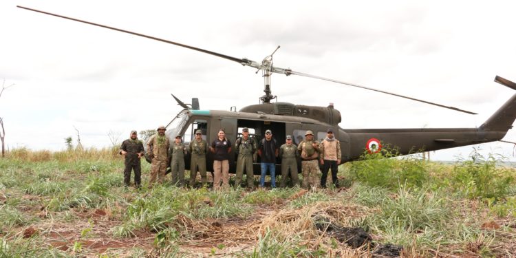 SENAD reemplaza cultivos de marihuana por árboles nativos
