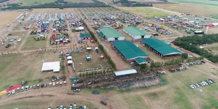 Cerca de 10 millones de toneladas de soja en esta zafra en Paraguay. Cerca de 10 millones de toneladas de soja en esta zafra en Paraguay.