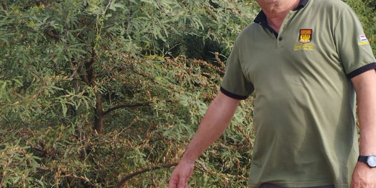 Plaga de Langostas en el norte del Chaco: bajo control… por ahora.