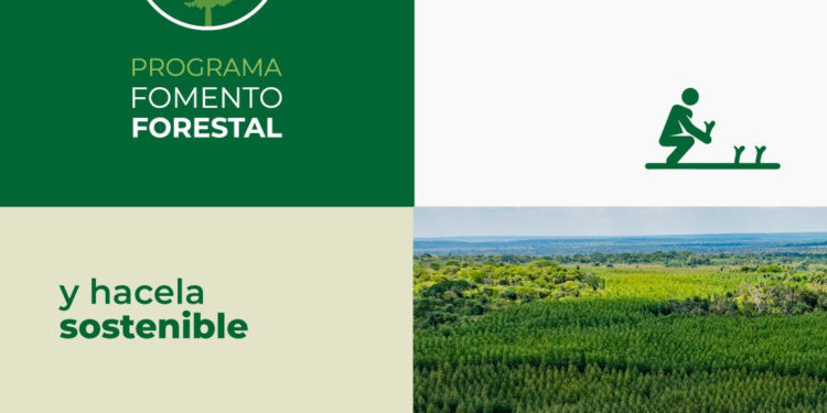 La mayor inversión privada en Paraguay ya genera 1.541 empleos. La mayor inversión privada en Paraguay ya genera 1.541 empleos.