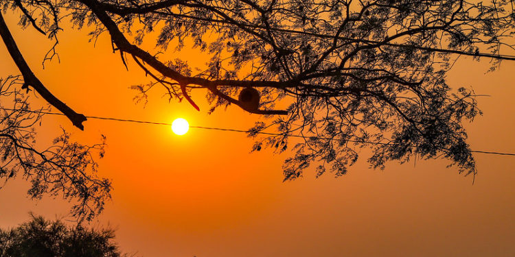 Viernes caluroso y con vientos del norte Viernes caluroso y con vientos del norte