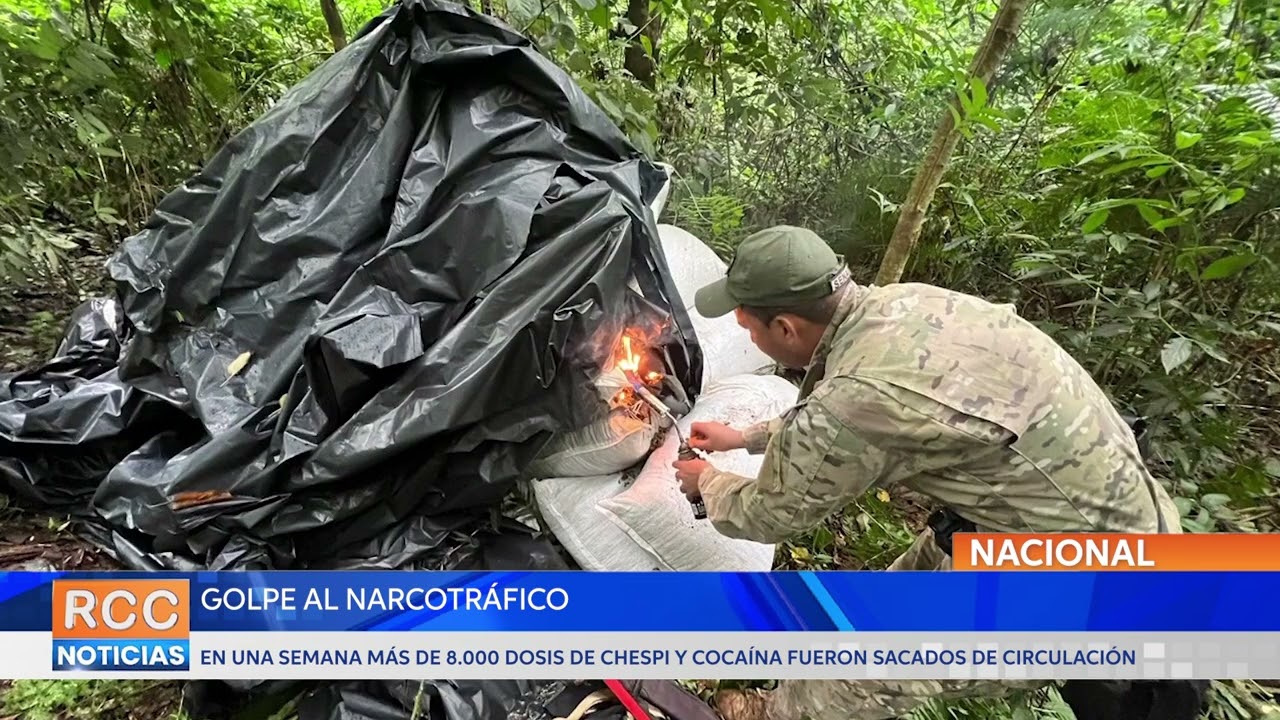 SENAD sacó de circulación casi 500 toneladas de marihuana en el Parque Nacional Caazapá