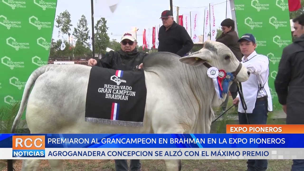 Expo Pioneros 2024: Agroganadera Concepción se quedó con el premio al Grancampeon en Brahman