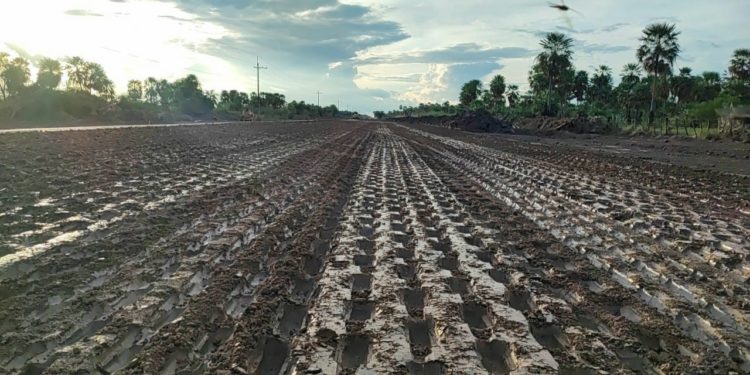 Avanza la construcción de la ruta PY12