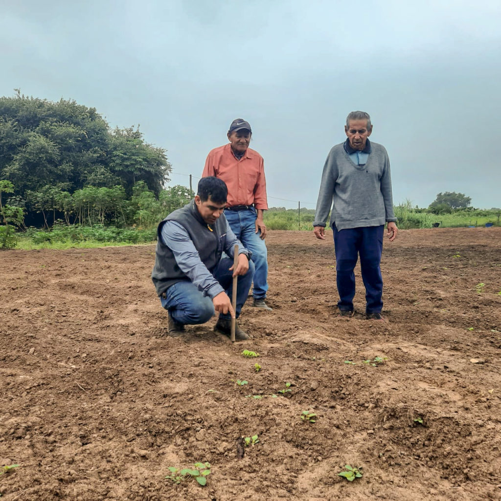 Amplían red de cañería y reparan sistema de riego en Isla Margarita