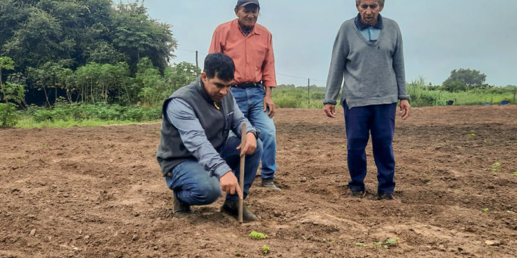Amplían red de cañería y reparan sistema de riego en Isla Margarita