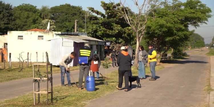 Tramo Remanso– Falcón: Inician reposición de árboles por obras