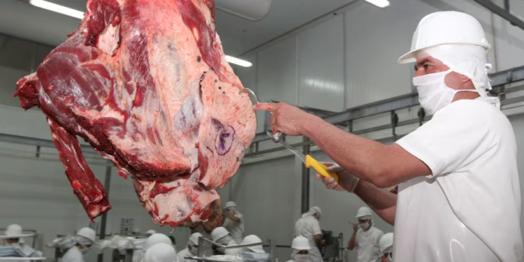 Paraguay avanza en la exportación de carne bovina a México
