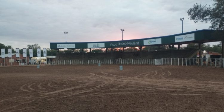 Éxito en el tercer día de la Expo Rodeo Neuland 2024: Actividades variadas y destacados juzgamientos Éxito en el tercer día de la Expo Rodeo Neuland 2024: Actividades variadas y destacados juzgamientos