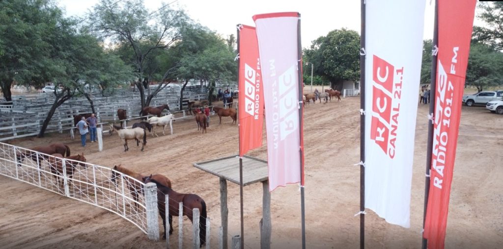 Jornada ganadera, visitas escolares y diversión Infantil en el tercer día de la Expo Rodeo Neuland Jornada ganadera, visitas escolares y diversión Infantil en el tercer día de la Expo Rodeo Neuland
