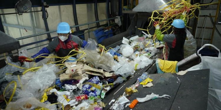 Miles de familias se sostienen gracias a la economía circular Miles de familias se sostienen gracias a la economía circular