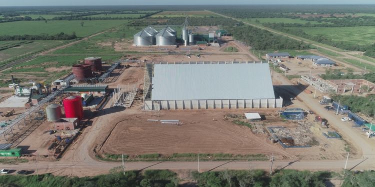Con una inversión cercana a los 45 millones de dólares se instala la primera industria aceitera en el Chaco Paraguayo