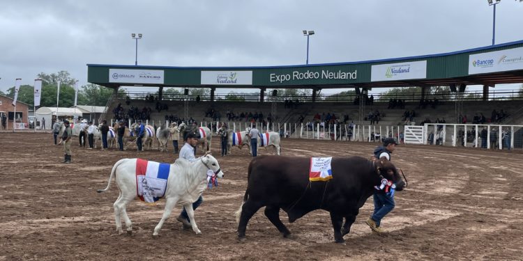 Confirman apertura de México a la carne paraguaya